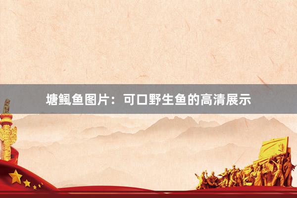 塘鲺鱼图片：可口野生鱼的高清展示