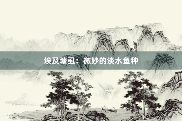 埃及塘虱：微妙的淡水鱼种