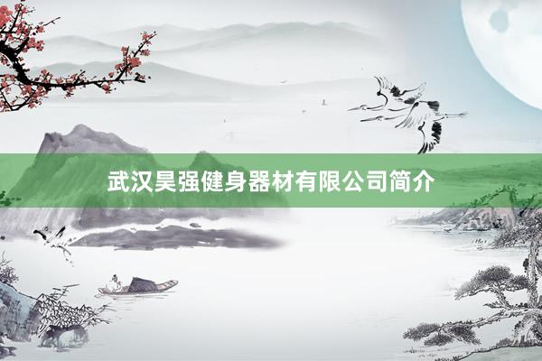 武汉昊强健身器材有限公司简介